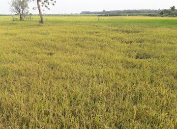cambodia/prey-veng