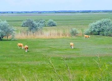 hungary/southern-great-plain