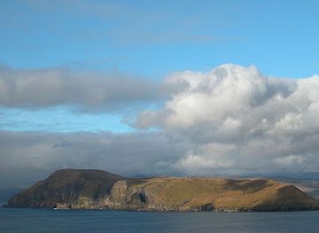 faroe-islands/hestur
