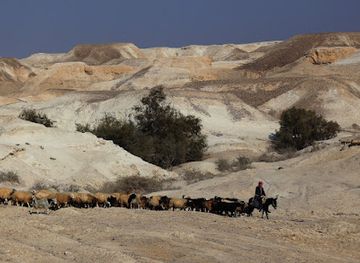 jordan/ghor-al-safi