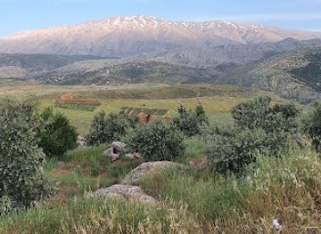 lebanon/bekaa