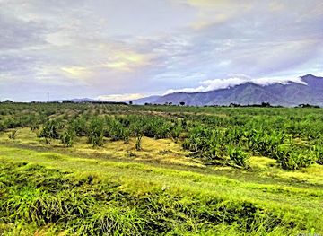 papua-new-guinea/momase-region