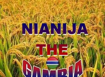 the-gambia/nianija