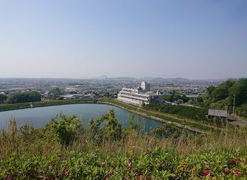japan/iyo