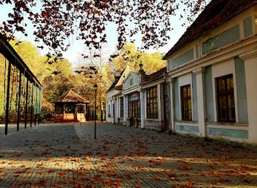 romania/timis
