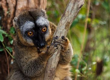 madagascar/alaotra-mangoro