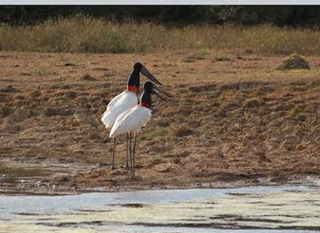 paraguay/upper-chaco