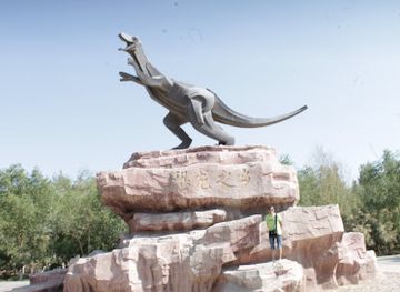 mongolia/gobi-desert