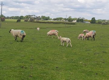 ireland/county-kildare