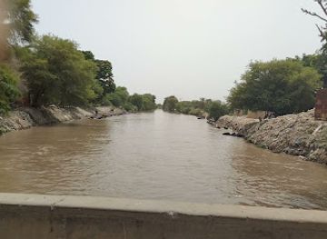 pakistan/thar-desert