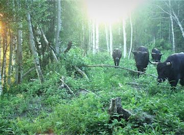 latvia/kemeri-national-park