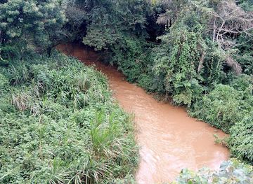 cameroon/north-west-region