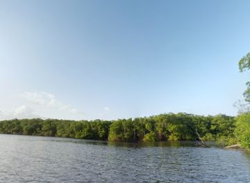 trinidad-and-tobago/caroni