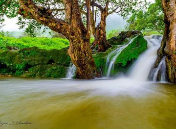 oman/salalah-coastal-plain
