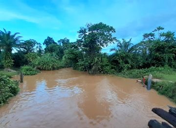 papua-new-guinea/fly-river-basin