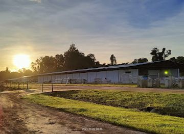 brunei/labi