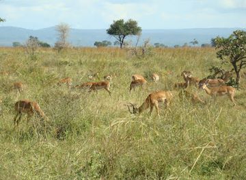 tanzania/mikumi-region