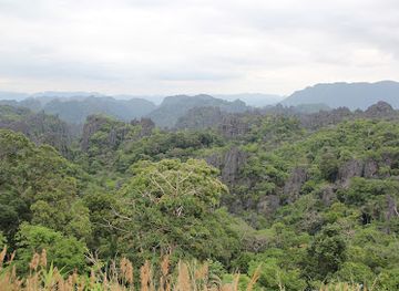 laos/khammouane-limestone-forest
