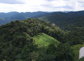 gabon/mayombe-forest