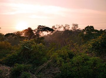 malawi/zomba-plateau