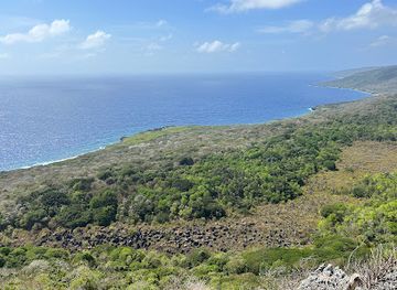 christmas-island/margaret-knoll