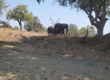 zambia/eastern-province