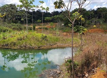 guyana/upper-takutu-upper-essequibo