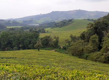 zimbabwe/eastern-highlands