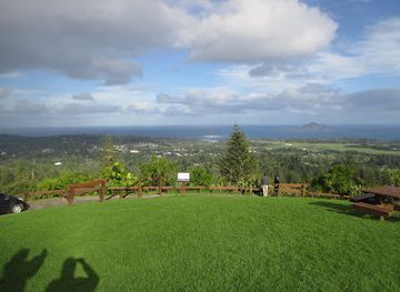 norfolk-island/point-hunter