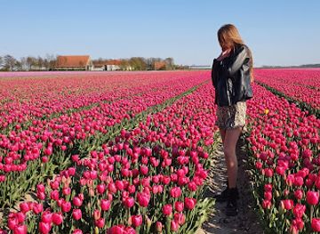 netherlands/noordoostpolder