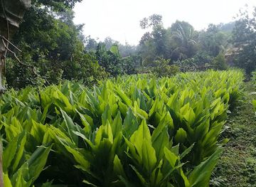 vietnam/southeast