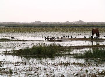 burkina-faso/sahel