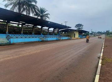 gabon/ivindo-basin