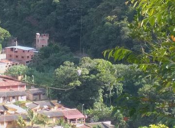 bolivia/yungas