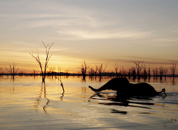 zambia/lake-kariba