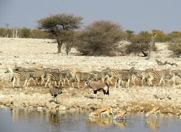 namibia/oshikoto