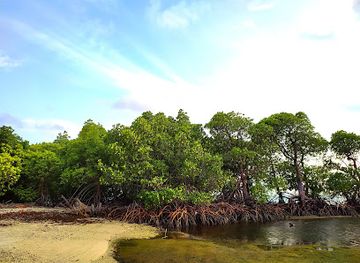 maldives/haa-alif-atoll