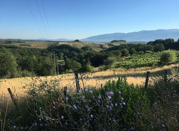italy/valdarno