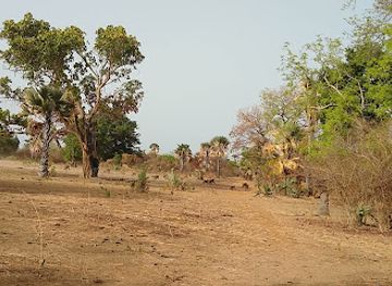 the-gambia/niamina-dankunku