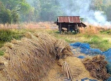 cambodia/pursat