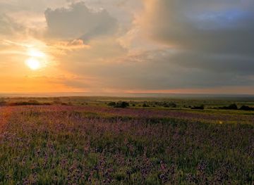 ukraine/donbas
