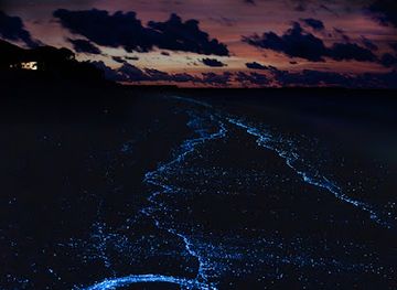 maldives/gaafu-dhaalu-atoll