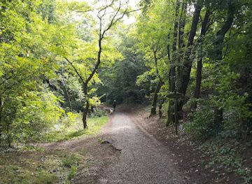 austria/vienna-woods