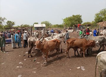 ghana/northern-region