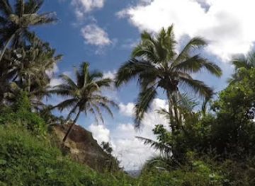 pitcairn-islands/adamstown