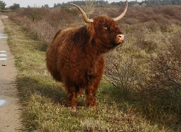 netherlands/kennemerland