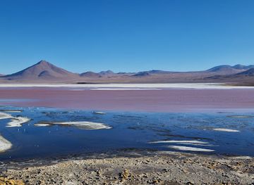 bolivia/altiplano