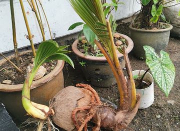 malaysia/kelantan