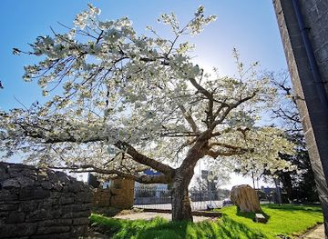 ireland/county-roscommon