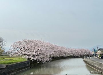 japan/buzen